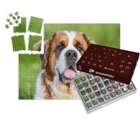 puzzleYOU : Calendrier de l'Avent | « Gros Plan sur Un Saint-Bernard »