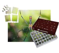 puzzleYOU : Calendrier de l'Avent | « Gros Plan sur Une araignée Veuve Noire »