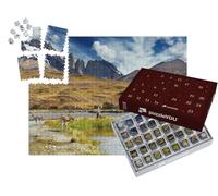puzzleYOU : Calendrier de l'Avent | « Guanako dans Le Parc National Torres Del Paine, Patagonien, Chili »