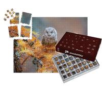 puzzleYOU : Calendrier de l'Avent | « Hibou Petit-duc, Otus scops, Une Chouette typique »