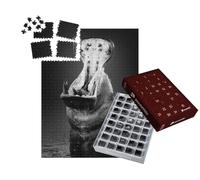 puzzleYOU : Calendrier de l'Avent | « Hippopotame avec la Gueule Grande Ouverte dans l'eau »