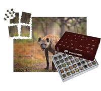 puzzleYOU : Calendrier de l'Avent | « Hyène tachetée à la Recherche d'une Proie, Okavango, Botswana »