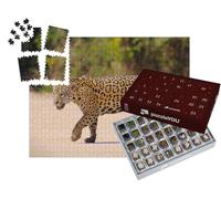 puzzleYOU : Calendrier de l'Avent | « Jaguar Femelle, Panthera Onca, Brésil, Amérique du Sud »