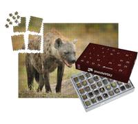 puzzleYOU : Calendrier de l'Avent | « Jeune hyène Nouveau-née avec sa mère, Okavango, Botswana »
