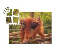 puzzleYOU : Calendrier de l'Avent | « Jeune Orang-outan sur Le Dos de sa mère »