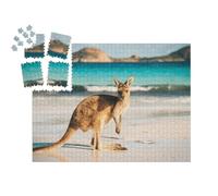 puzzleYOU : Calendrier de l'Avent | « Känguru, Lucky Bay, Parc National de Cape Le Grand, Australie »