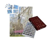 puzzleYOU : Calendrier de l'Avent | « La Place Wilson aux Couleurs du Printemps et Ses cerisiers Japonais en Fleur. »
