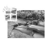 puzzleYOU : Calendrier de l'Avent | « La rivière Tarn dans Les Cévennes »