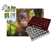 puzzleYOU : Calendrier de l'Avent | « Le bébé Orang-outan Le Plus Mignon du Monde Regarde la caméra à Bornéo »