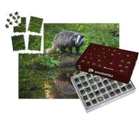 puzzleYOU : Calendrier de l'Avent | « Le Blaireau dans Son Habitat forestier, Allemagne, Europe »