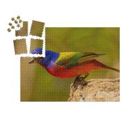 puzzleYOU : Calendrier de l'Avent | « Le bruant des roseaux, Le Plus bel Oiseau Chanteur d'Amérique »