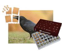 puzzleYOU : Calendrier de l'Avent | « Le Grand Corbeau de la Famille des passereaux »
