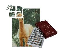 puzzleYOU : Calendrier de l'Avent | « Le Lama, Un mammifère Domestique très répandu en Amérique du Sud »