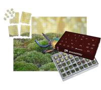 puzzleYOU : Calendrier de l'Avent | « Le scarabée à Dents de scie ou scarabée des Cerfs, l'un des Plus Beaux scarabées du Monde »