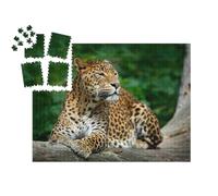 puzzleYOU : Calendrier de l'Avent | « Léopard dans Le Parc National de Yala, Sri Lanka »