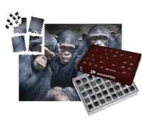 puzzleYOU : Calendrier de l'Avent | « Les bonobos et Les chimpanzés en Afrique »