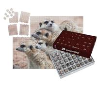 puzzleYOU : Calendrier de l'Avent | « Les suricates s'enlacent par Un Jour de Pluie »