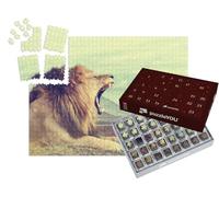 puzzleYOU : Calendrier de l'Avent | « Lion d'Afrique dans Le Parc National du Kenya »