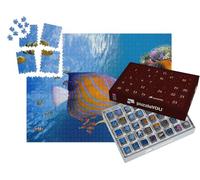 puzzleYOU : Calendrier de l'Avent | « Monde sous-Marin enchanteur, mer Rouge »