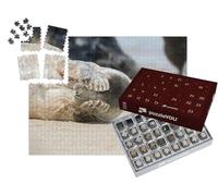 puzzleYOU : Calendrier de l'Avent | « Où est Le Petit Phoque ? »