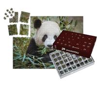 puzzleYOU : Calendrier de l'Avent | « Panda géant, la Bouche Pleine de bambous »