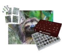 puzzleYOU : Calendrier de l'Avent | « Paresseux, Parc National Manuel Antonio, Costa Rica, Amérique Centrale »
