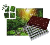 puzzleYOU : Calendrier de l'Avent | « Petit ruisseau dans la Jungle de Guadeloupe, Petites Antilles, Caraïbes »