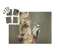 puzzleYOU : Calendrier de l'Avent | « Pic épeiche en quête de Nourriture sur Un Bouleau »
