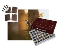 puzzleYOU : Calendrier de l'Avent | « Pic tridactyle en quête de Nourriture »