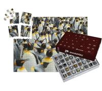 puzzleYOU : Calendrier de l'Avent | « Pingouins royaux dans Leur colonie »