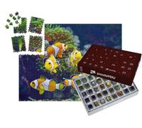 puzzleYOU : Calendrier de l'Avent | « Poissons-Clowns »