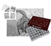 puzzleYOU : Calendrier de l'Avent | « Portrait du Bouquetin des Alpes »