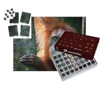 puzzleYOU : Calendrier de l'Avent | « Portrait du célèbre Orang-outan de Sumatra menacé d'extinction »