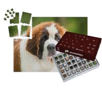 puzzleYOU : Calendrier de l'Avent | « Portrait d'un Chiot Saint-Bernard »