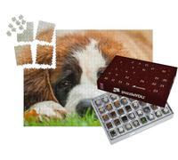 puzzleYOU : Calendrier de l'Avent | « Portrait d'un Chiot Saint-Bernard dans l'herbe »