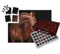 puzzleYOU : Calendrier de l'Avent | « Portrait d'un étalon Arabe de Pure Race »