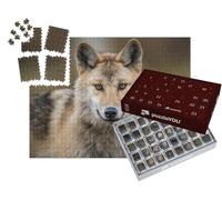 puzzleYOU : Calendrier de l'Avent | « Portrait d'un Loup Gris, Aussi connu sous Le nom de Timberwolf »
