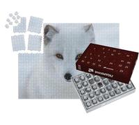 puzzleYOU : Calendrier de l'Avent | « Portrait d'un Renard Polaire »