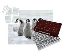 puzzleYOU : Calendrier de l'Avent | « Poussin de Manchot Empereur sur la Neige, Antarctique »