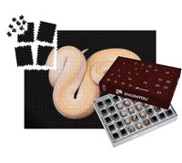 puzzleYOU : Calendrier de l'Avent | « Python Boule ou Python Royal à la Peau Claire »