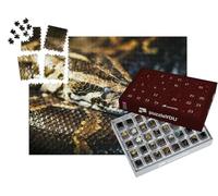 puzzleYOU : Calendrier de l'Avent | « Python réticulé, également connu sous Le nom de Python Royal ou Python Boule »