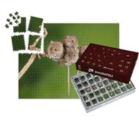 puzzleYOU : Calendrier de l'Avent | « Quatre adorables Souris sur Une Toute Petite Branche »