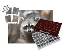 puzzleYOU : Calendrier de l'Avent | « Raton Laveur d'Amérique du Nord »