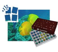 puzzleYOU : Calendrier de l'Avent | « Récif de Corail avec des Poissons de la mer Rouge en Égypte »