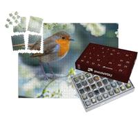 puzzleYOU : Calendrier de l'Avent | « Rouge-Gorge sur Une Branche à Fleurs Blanches »
