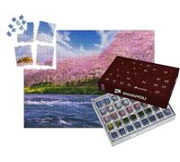 puzzleYOU : Calendrier de l'Avent | « Sakura : cerisiers en Fleurs au Japon, avec Le Volcan Fuji en arrière-Plan »