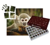 puzzleYOU : Calendrier de l'Avent | « Singe à tête de Mort en Amazonie »