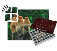 puzzleYOU : Calendrier de l'Avent | « Singes proboscidiens à Bornéo, Malaisie »