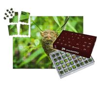puzzleYOU : Calendrier de l'Avent | « Tarsier des Philippines : l'un des Plus Petits Primates du Monde »