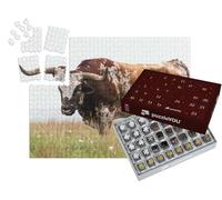 puzzleYOU : Calendrier de l'Avent | « Taureau Texas-Langhorn dans Le Wichita Mountains National Wildlife Refuge, Oklahoma »